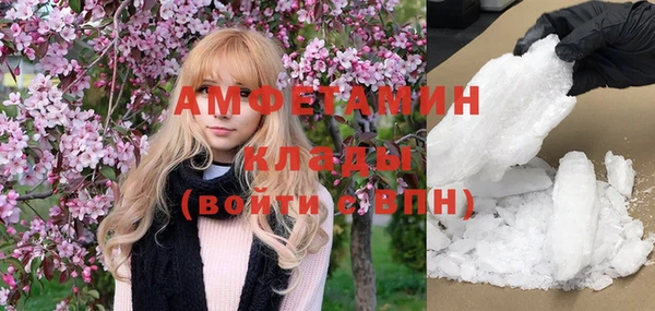 молекула духа Переславль-Залесский