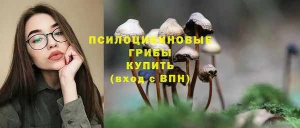 молекула духа Переславль-Залесский