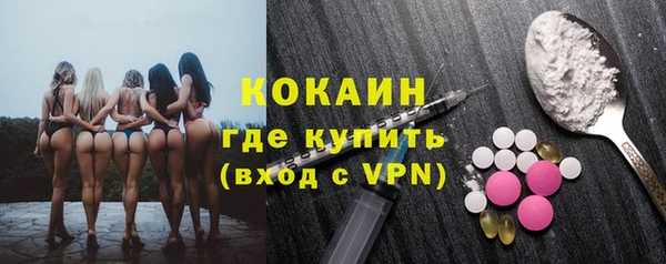 молекула духа Переславль-Залесский