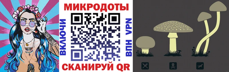 Купить где  Почеп  Галлюциногенные грибы мицелий 